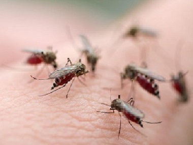 南海四害消杀中心分享4个方法教你有效灭治蚊子