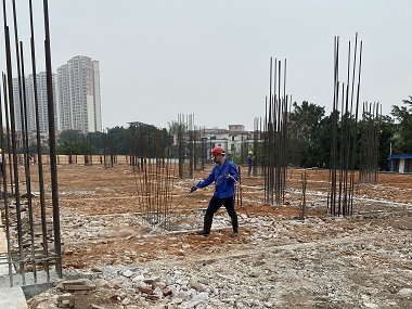 罗村专业灭白蚁机构地基防白蚁该怎么做才靠谱?