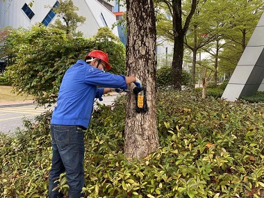 狮山杀灭白蚁所园林绿化有白蚁危害该如何灭治