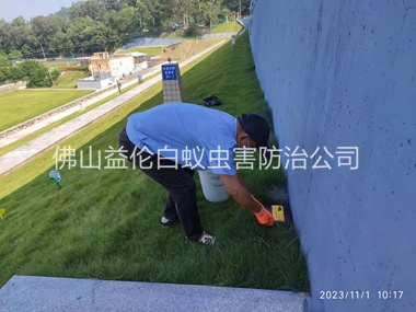 罗村堤坝鼠害防治工程